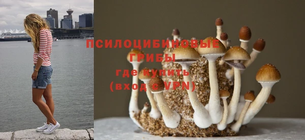 прущая мука Алексеевка