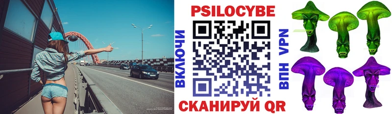 Галлюциногенные грибы Psilocybine cubensis  Гдов 